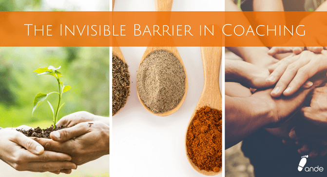 The Invisible Barrier in Coaching