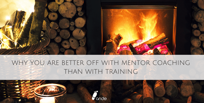 Why You Are Better off With Mentor Coaching Than With Training