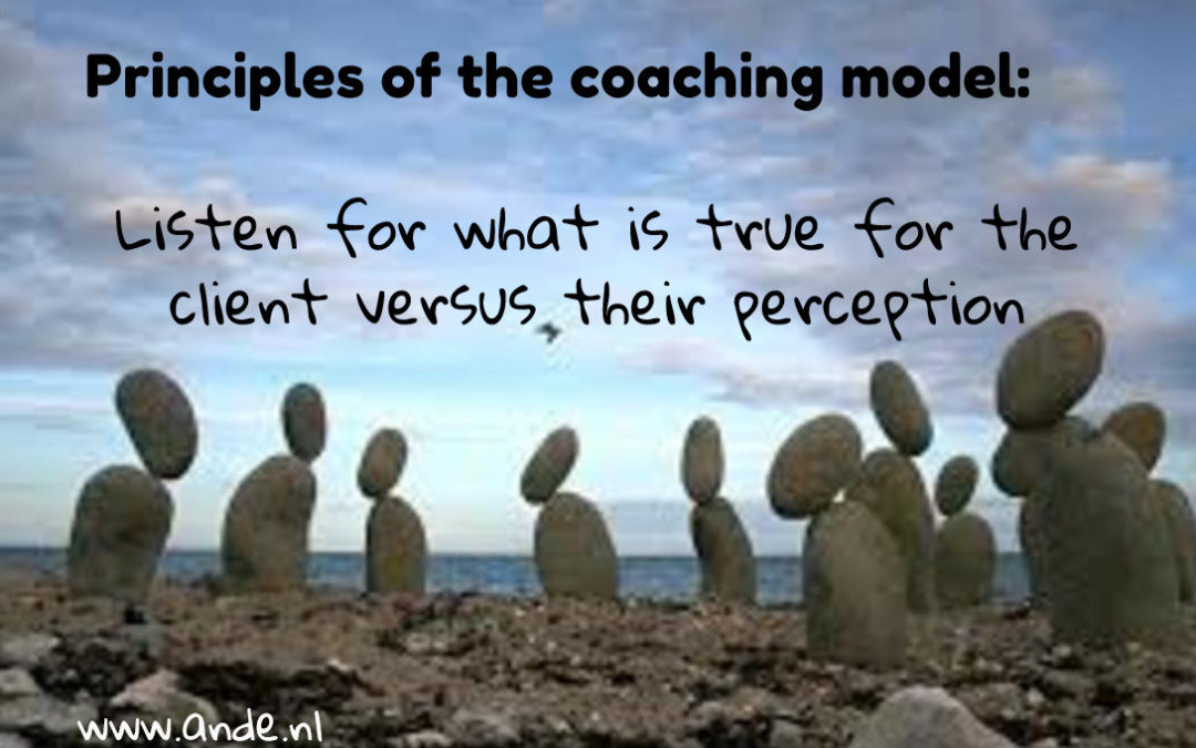 Principles of the coaching models